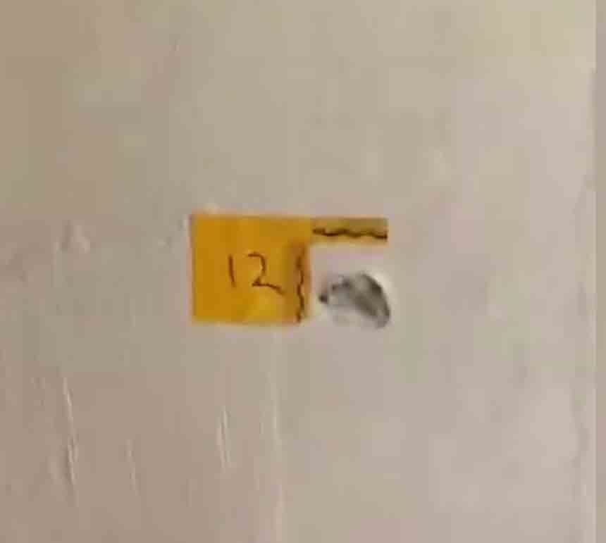 S A H T E P O L İ S A D A N A (6)