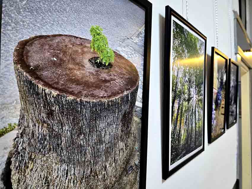 Zonguldak’ta 8 Mart’a Özel Fotoğraf Sergi̇si̇ Açildi (1)