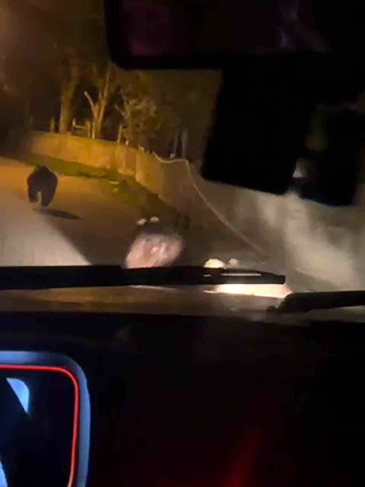 A Y I L A R Y E R L E Ş İ M B Ö L G E S İ N E İ N D İ (1)