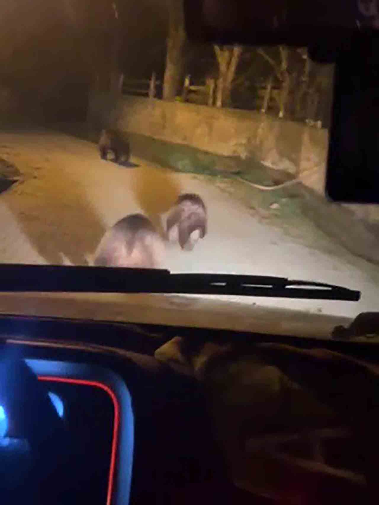 A Y I L A R Y E R L E Ş İ M B Ö L G E S İ N E İ N D İ (2)