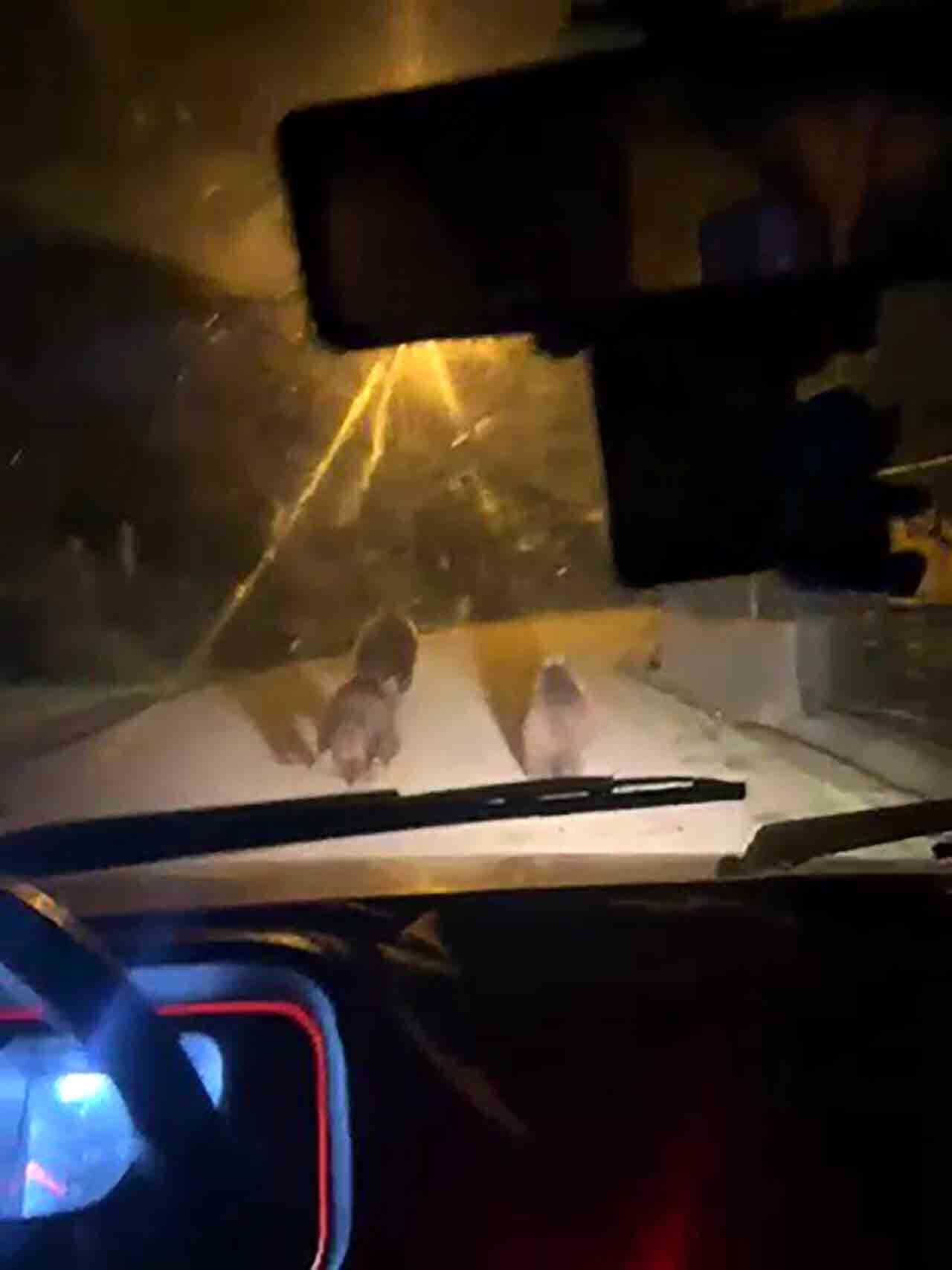 A Y I L A R Y E R L E Ş İ M B Ö L G E S İ N E İ N D İ (3)