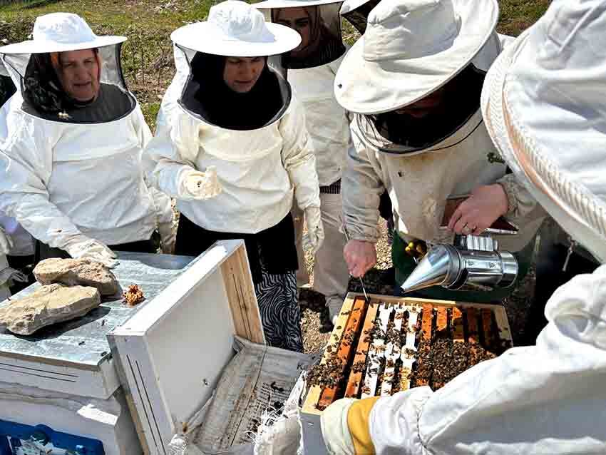 Hasbeyler Arıcılığı Öğreniyor Eğitimler Sahaya Taşındı (3)