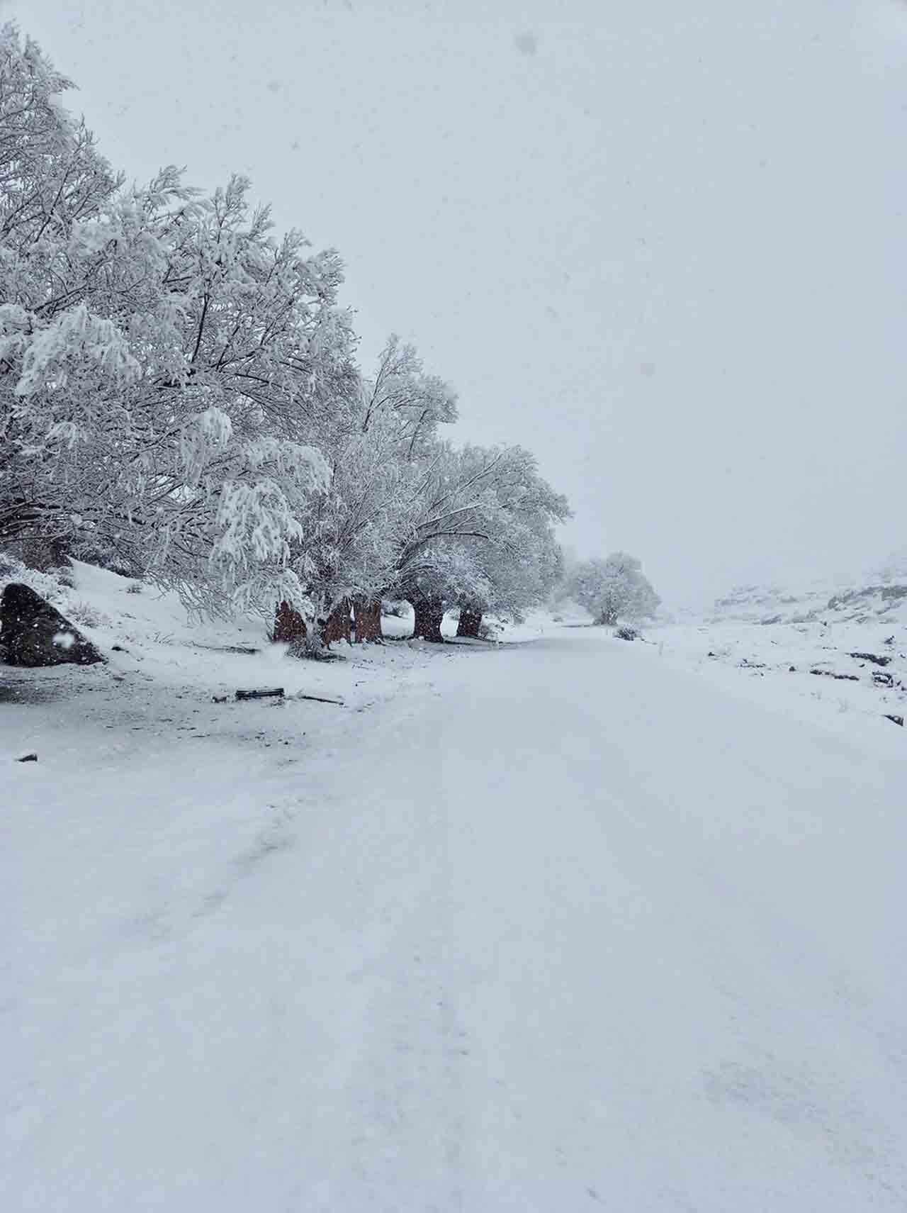 Nisan Karı Mahalleyi Beyaza Bürüdü (2)