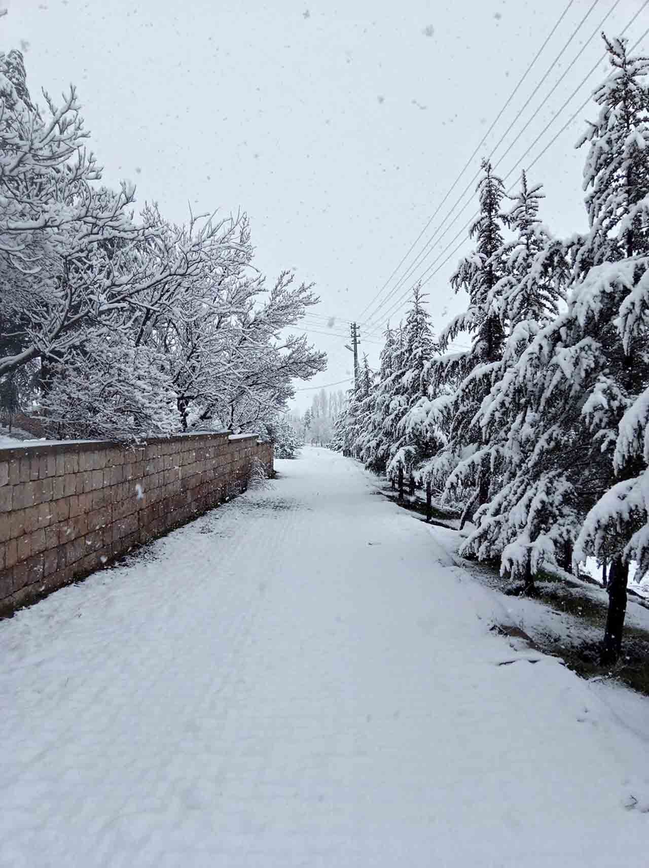 Nisan Karı Mahalleyi Beyaza Bürüdü (3)