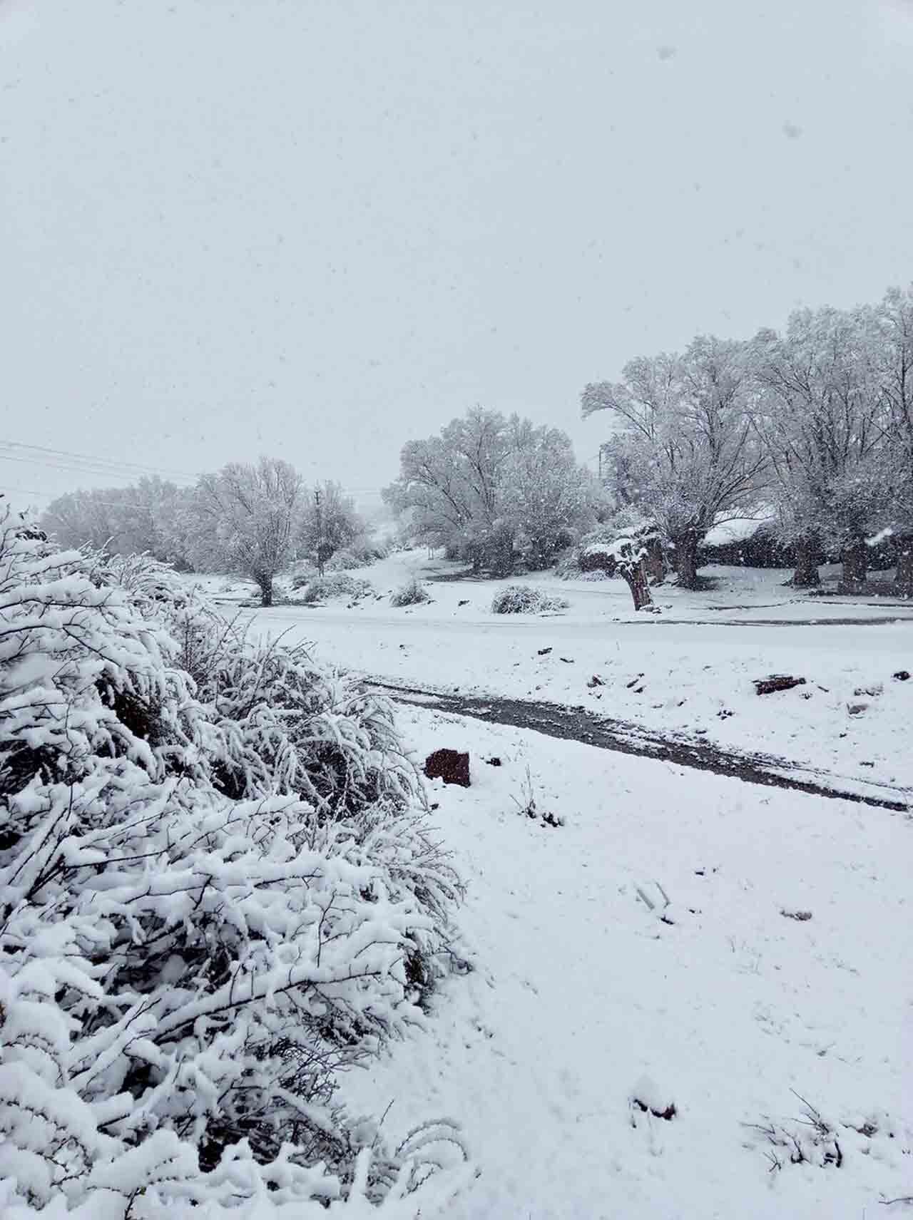 Nisan Karı Mahalleyi Beyaza Bürüdü (4)