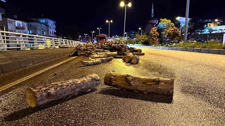 Odunlar Yola Döküldü 11 (1)