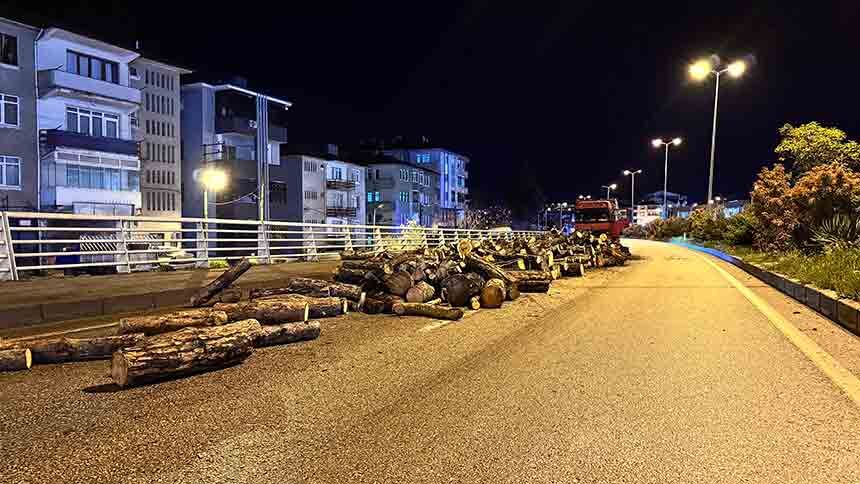 Odunlar Yola Döküldü 11 (3)