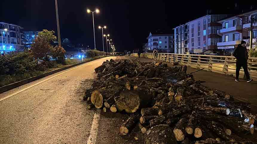 Odunlar Yola Döküldü 11 (5)