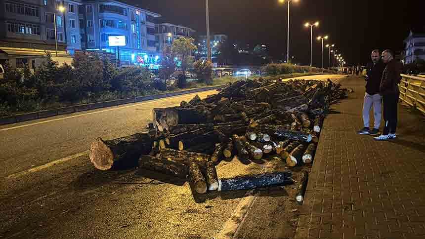 Odunlar Yola Döküldü 11 (6)