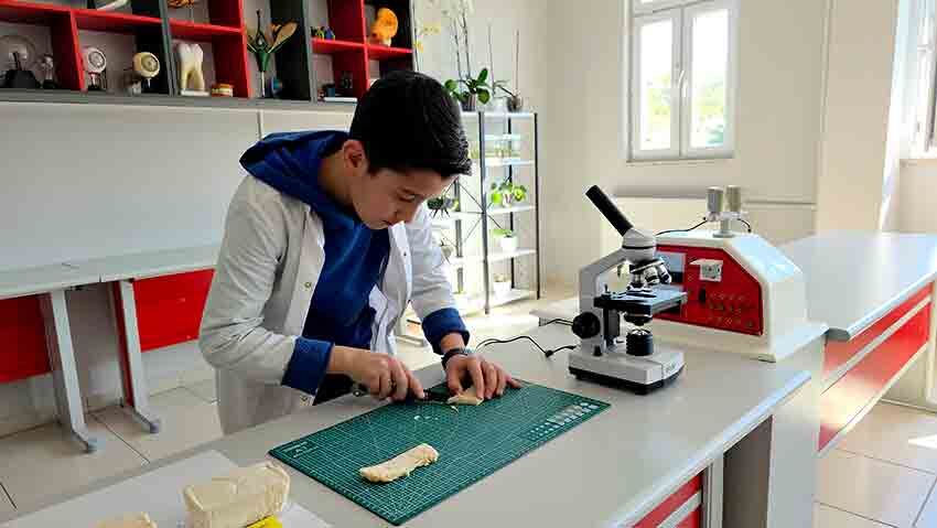 Pirinç Kabuklarını Ateşe Dayanıklı Yalıtım Malzemesine Dönüştürdü (1)