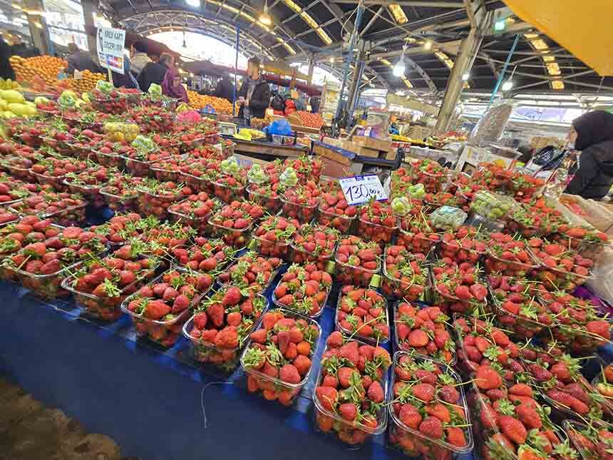 Z O N G U L D A K T A T E Z G A H L A R K I Z A R D I (2)