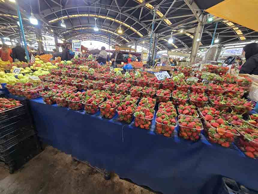 Z O N G U L D A K T A T E Z G A H L A R K I Z A R D I (3)