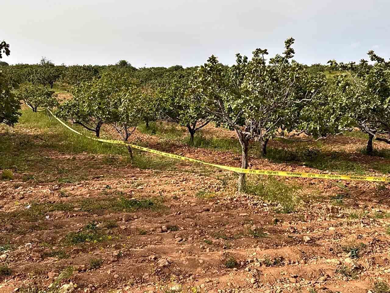 Çi̇ftçi̇ Bahçe Sürerken Öldü (1)