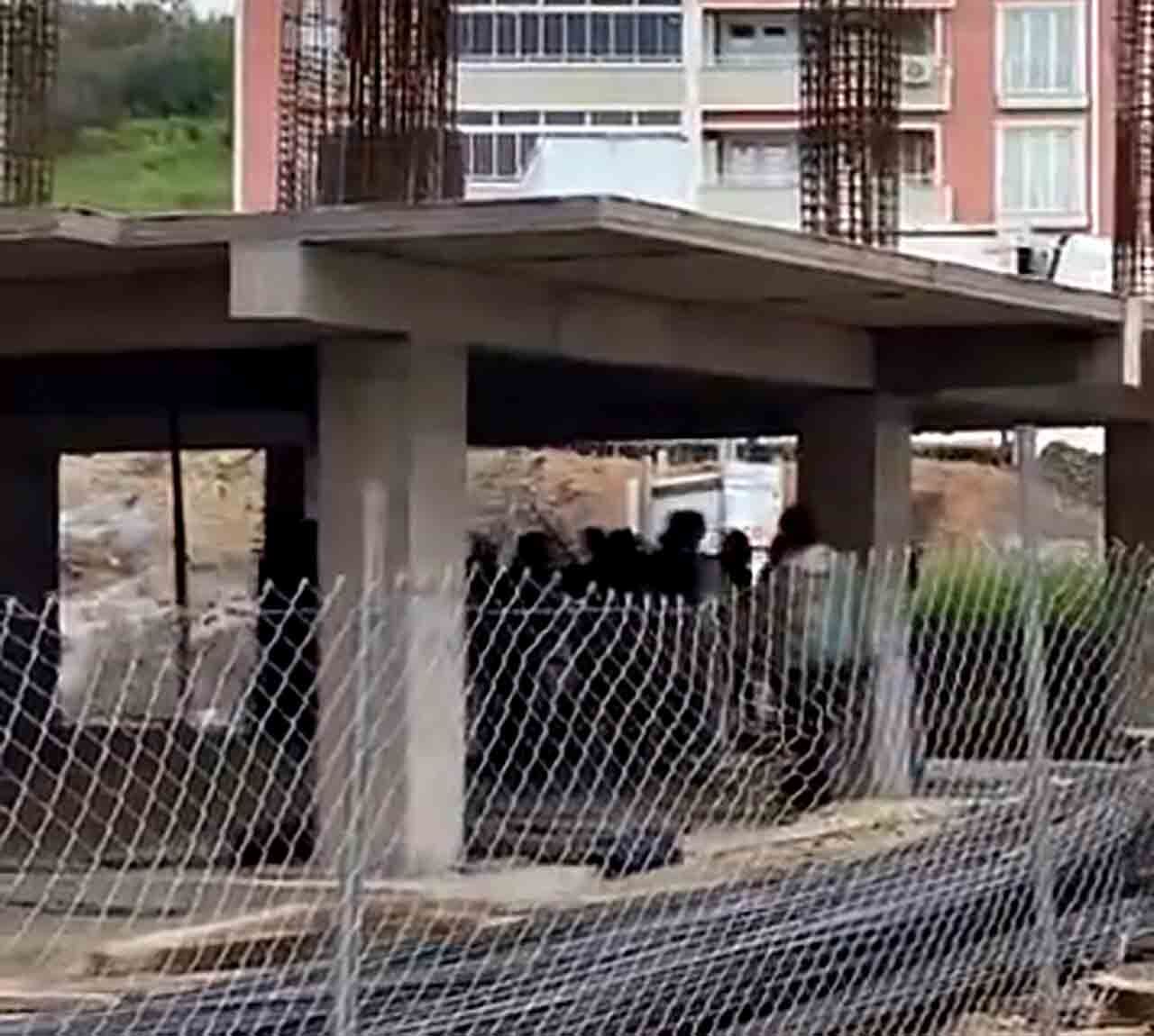 Inşaatta Sopalı Kavga (3)