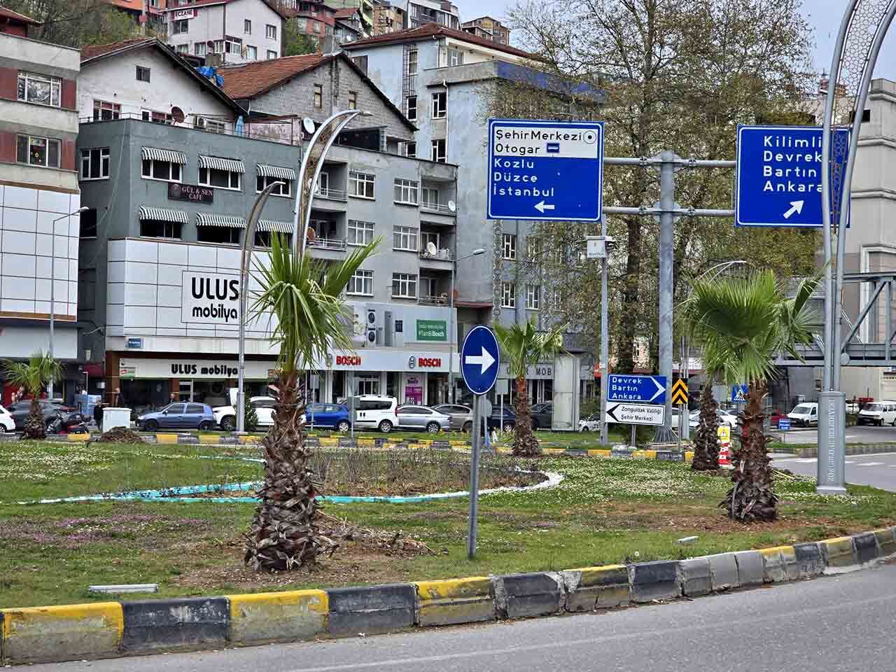 Palmiye Kavşağı (1)