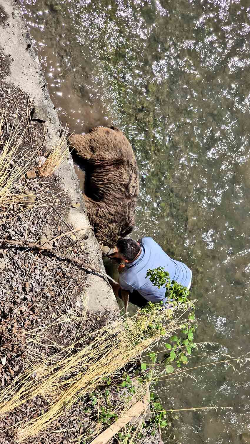 Tünelde Başlayan Yaşam Mücadelesi Çayda Son Buldu (4)