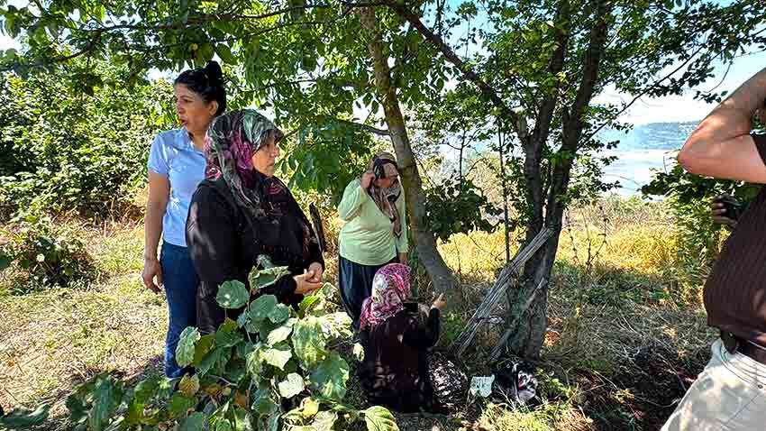 Zonguldak'ta Büyük Yangin Aniz Yangini Ormana Siçradi (3)