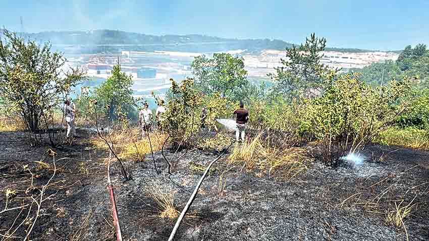 Zonguldak'ta Büyük Yangin Aniz Yangini Ormana Siçradi (8)