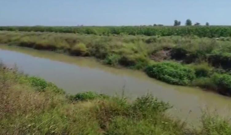 Balık tutarken nehre düşen kişi kayboldu