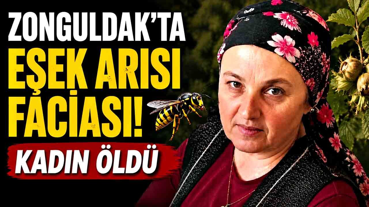 Zonguldak'ta eşek arısının soktuğu kadın öldü