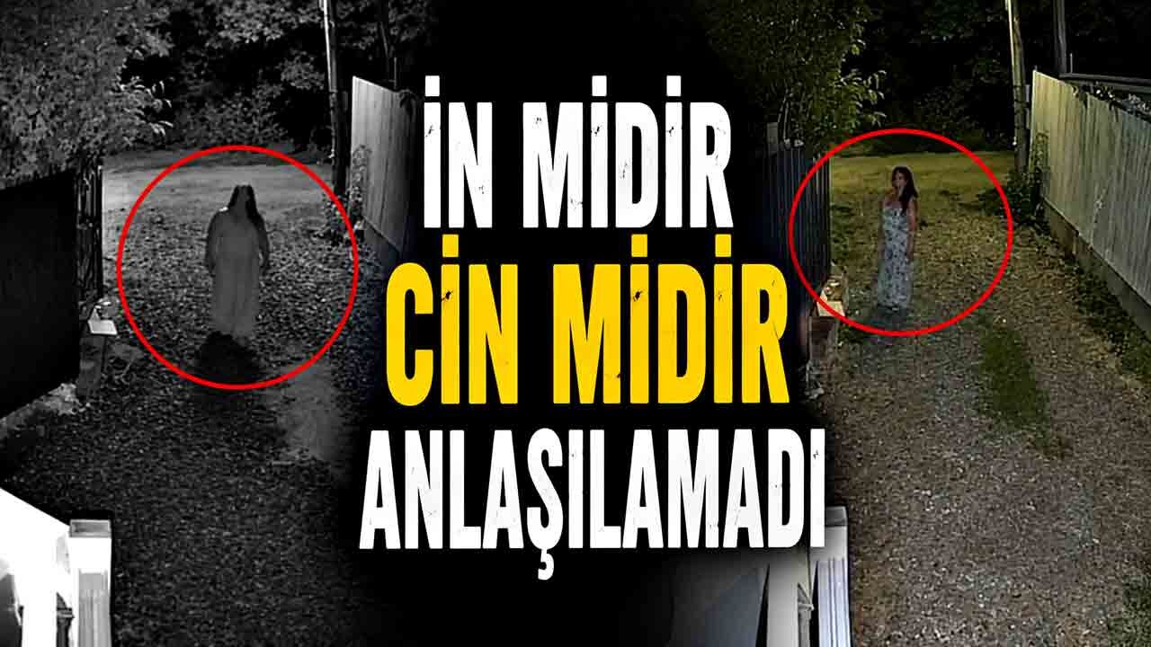 İn midir Cin midir anlaşılamadı