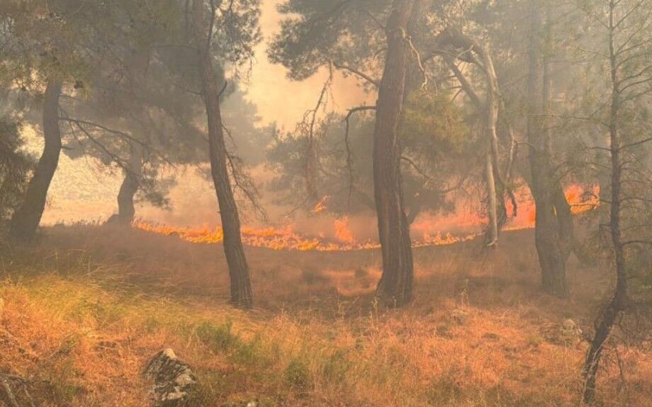 Gazeteciler alevler arasından zor kurtuldu