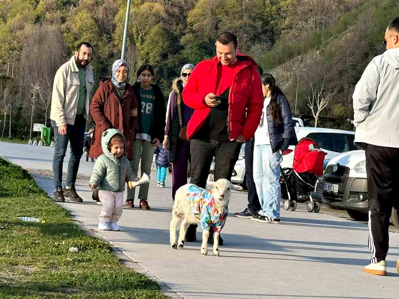 Kuzu Gezidrme (1)