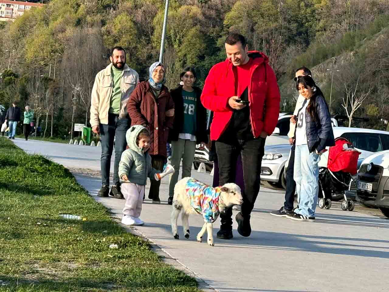Kuzu Gezidrme (2)