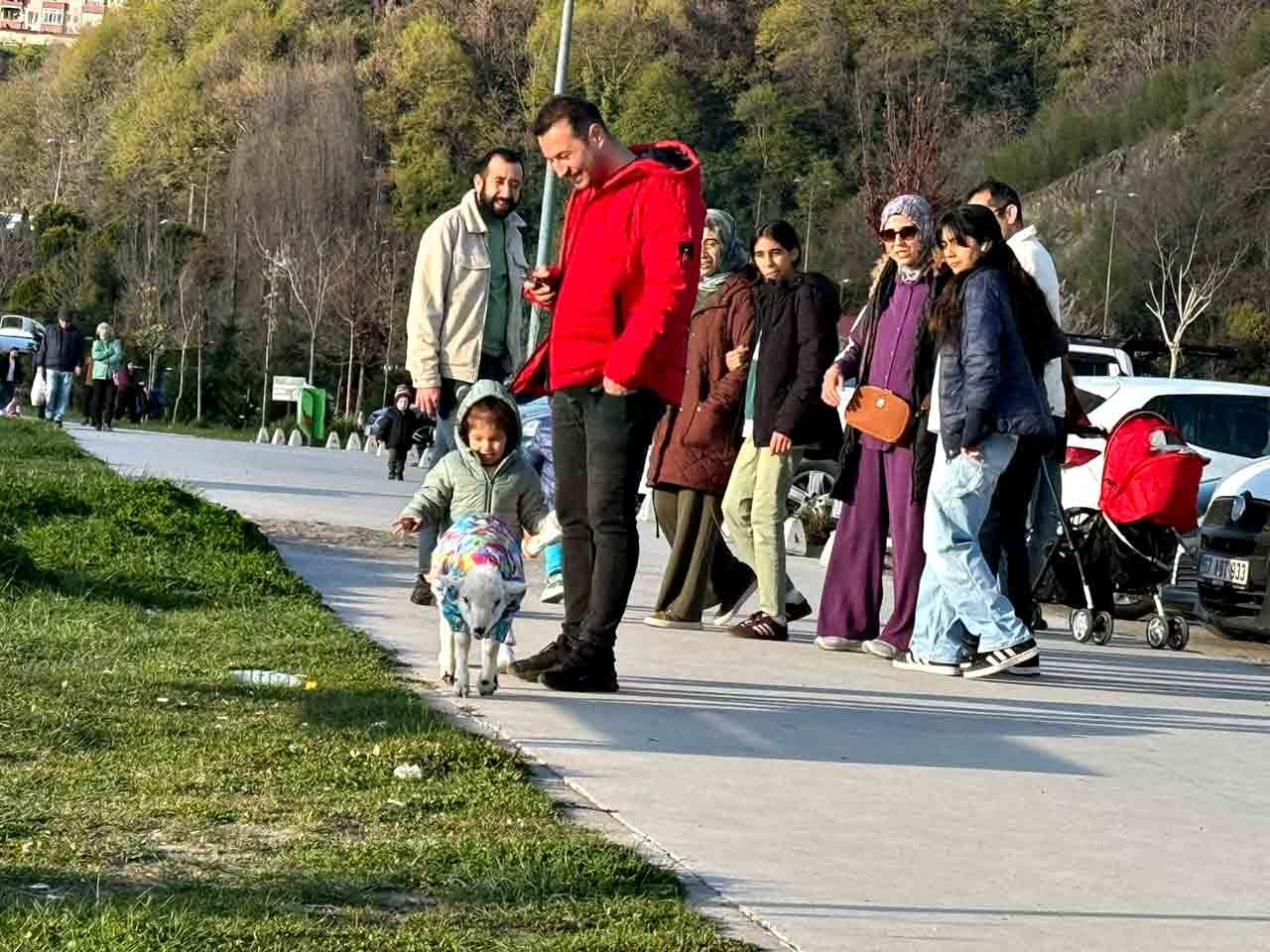 Kuzu Gezidrme (3)