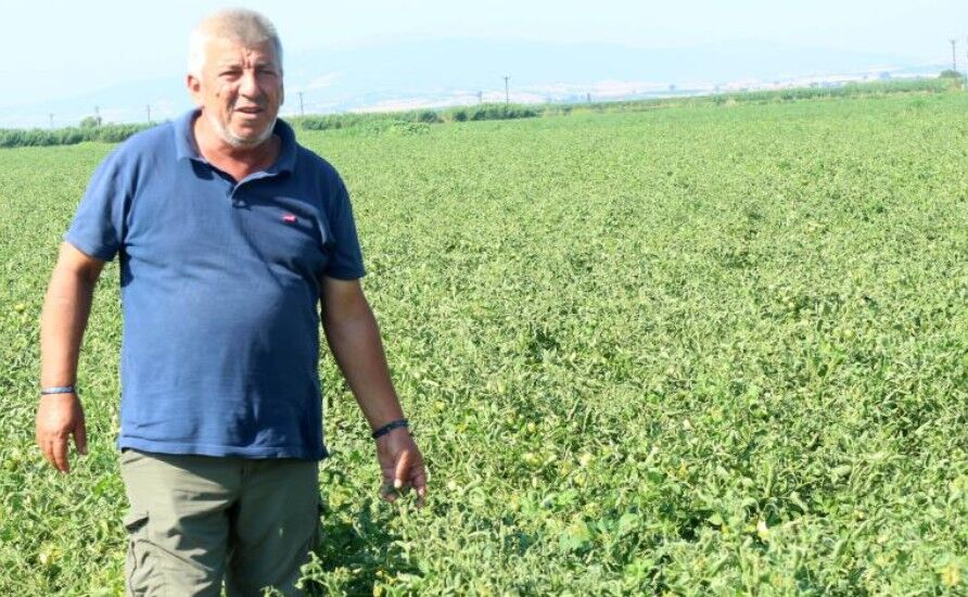 Manyas Gölü'nden gelen ilaçlı su sorununa üretici çözüm bekliyor