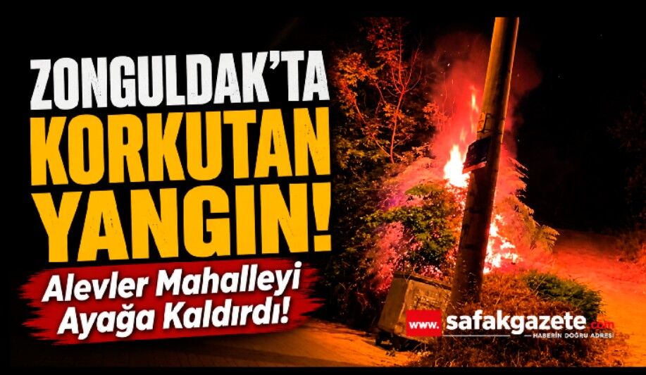 Zonguldak’ta korkutan yangın: Evlere sıçramadan söndürüldü!