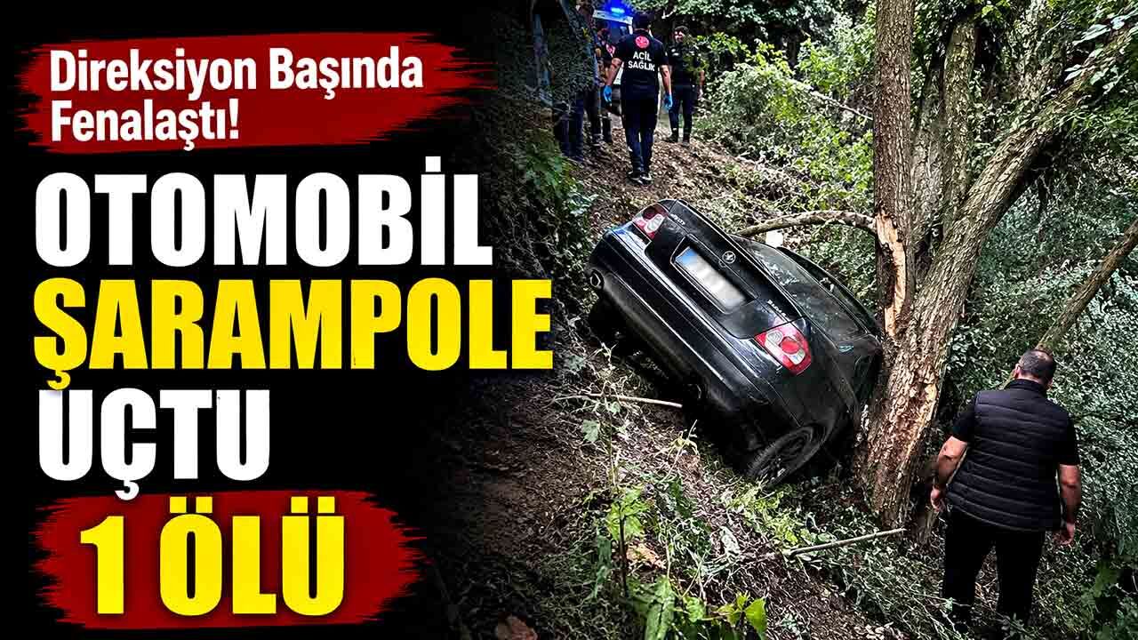 Direksiyon başında rahatsızlanan sürücü şarampole uçtu; 1 ölü