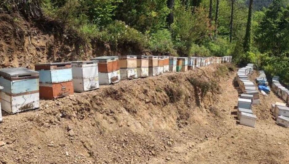 350 Kovanlık Üretim 2