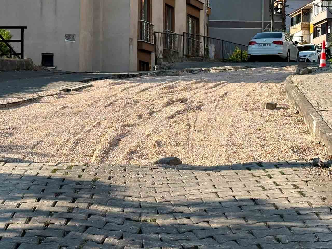 Bu Yol Çıldırtır (2)