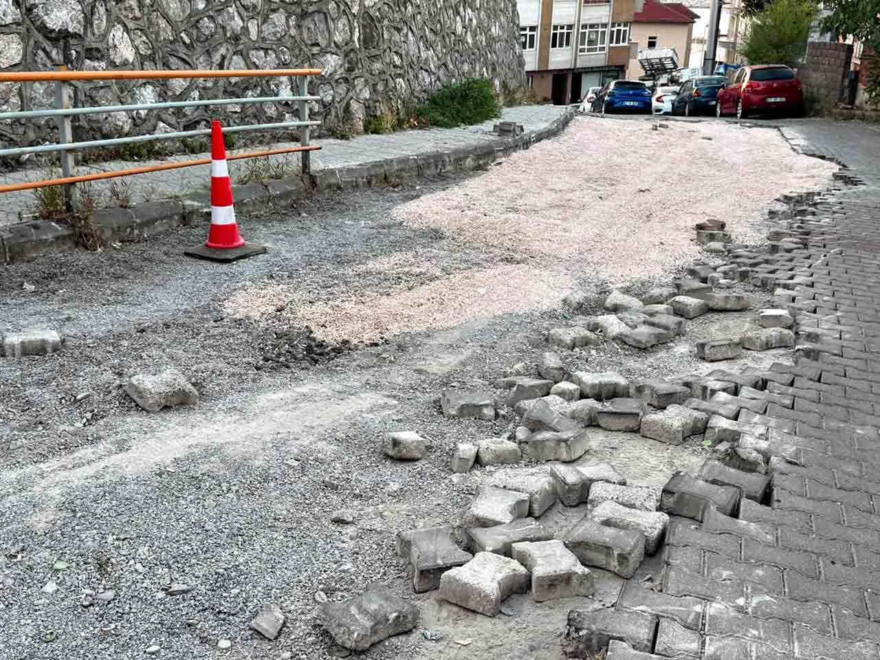 Bu Yol Çıldırtır (3)