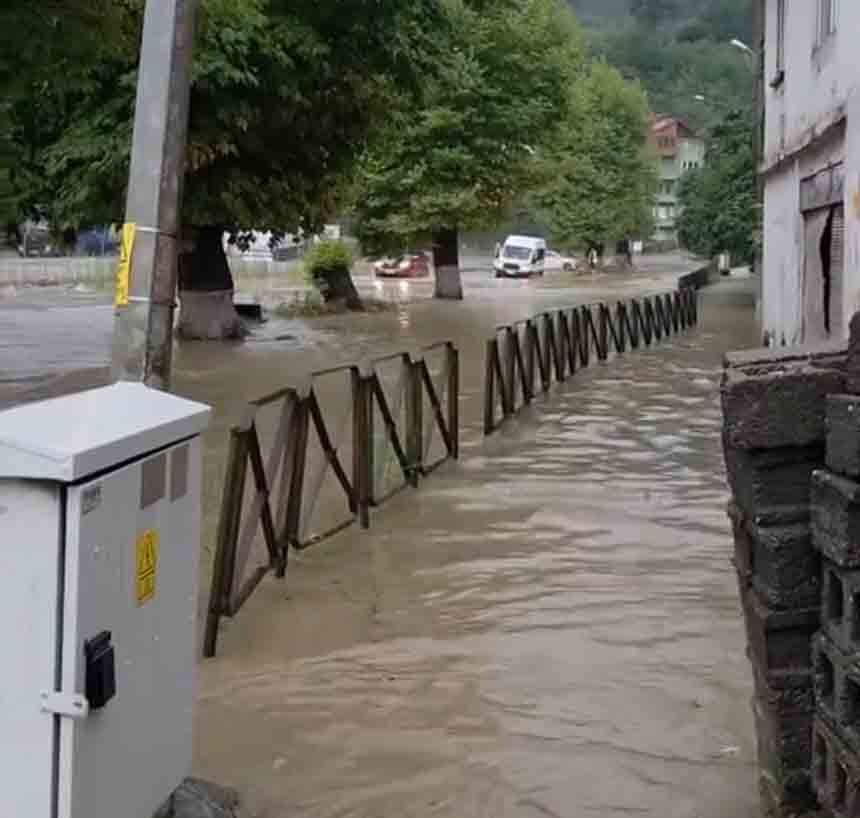 Çatalağzini Su Basti (1)