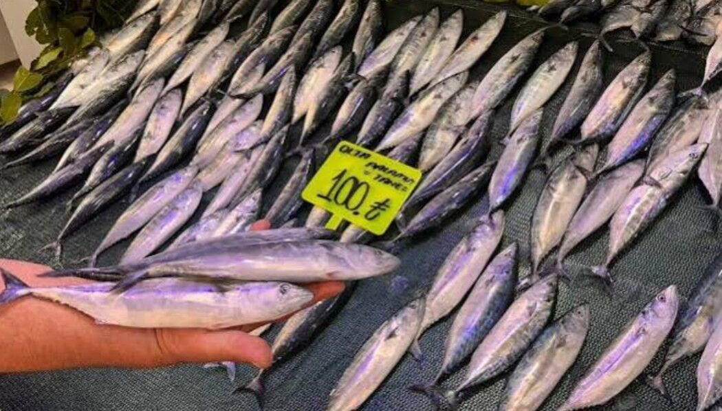 Çingene Sokağa Düştü 2