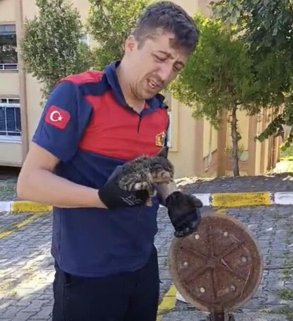 Kedi̇ Kurtarma Operasyonu