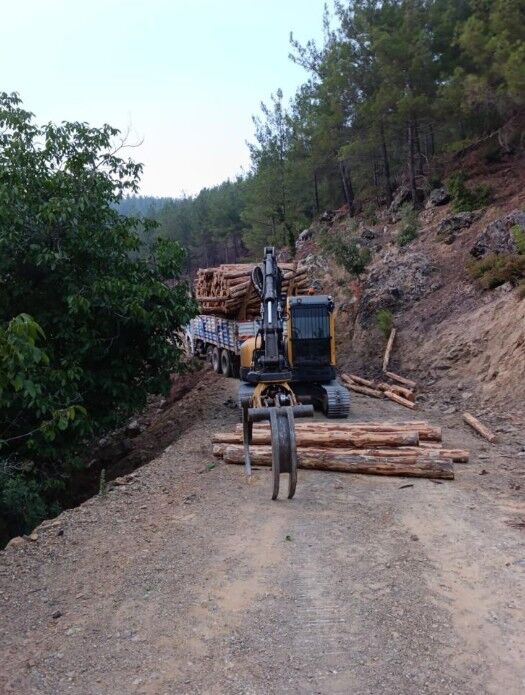 Orman Işçisinin Acı Ölümü 3