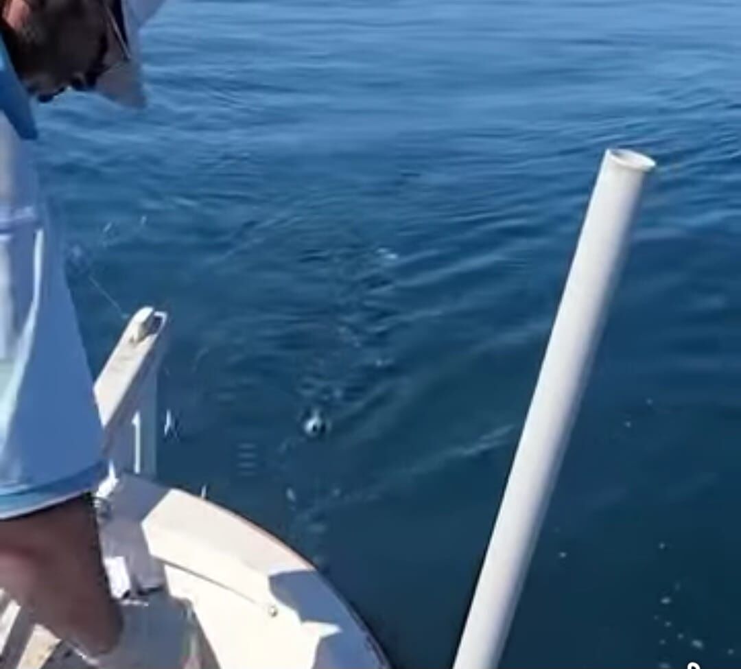 Tek Çaparide Kova Doldu (2)