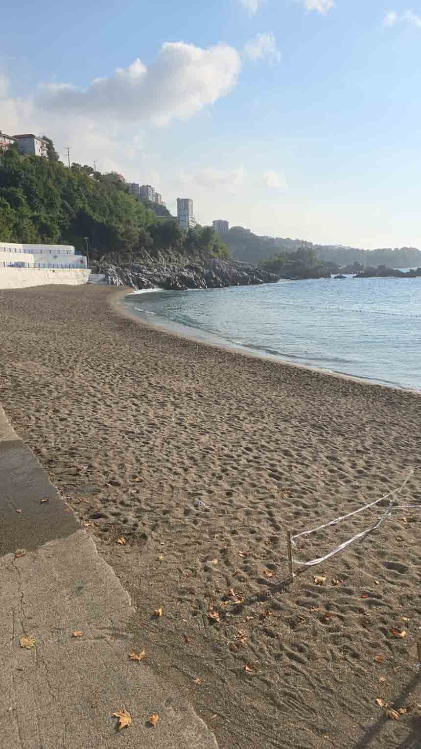 Whats App Image 2026 08 25 At 10.08.40