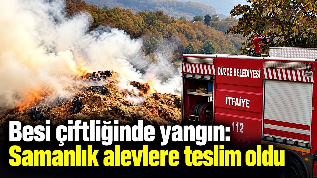 Düzce’de besi çiftliğinde yangın: Samanlık alevlere teslim oldu