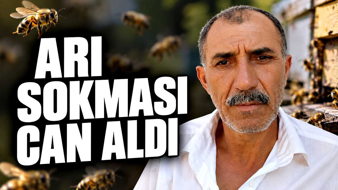 Çorum’da arı sokması sonrası fenalaştı, hayatını kaybetti