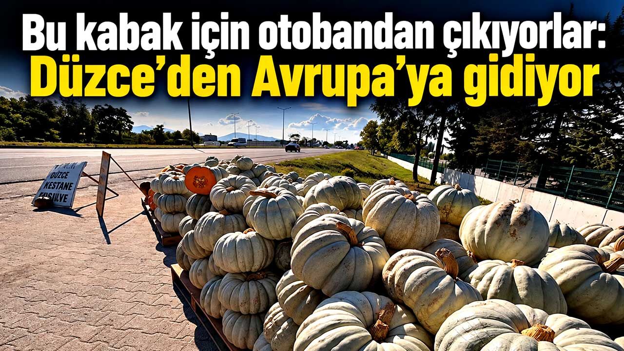 Bu kabak için otobandan çıkıyorlar: Düzce’den Avrupa’ya gidiyor