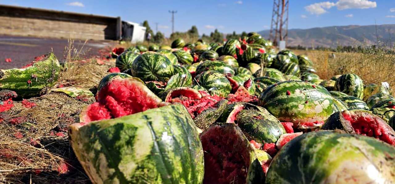 Karpuz yüklü tır devrildi: Karpuzlar yola döküldü