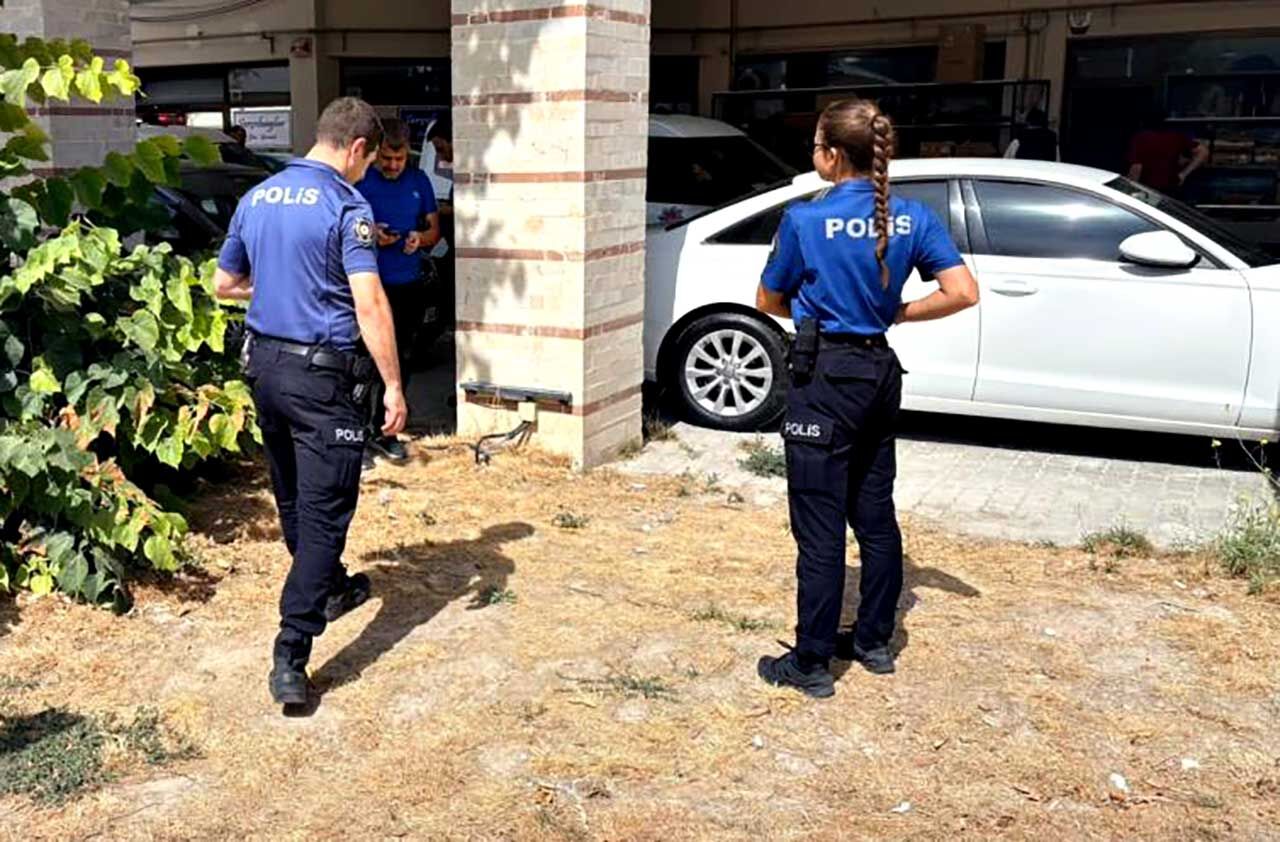 Esnafın beslediği kedi bacakları kesilmiş halde bulundu
