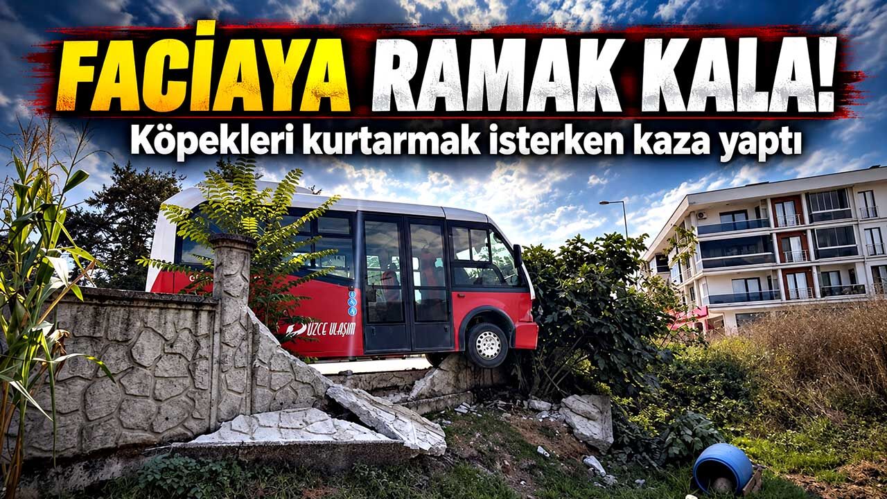 Köpeklere çarpmamak için manevra yaptı, duvara çarptı
