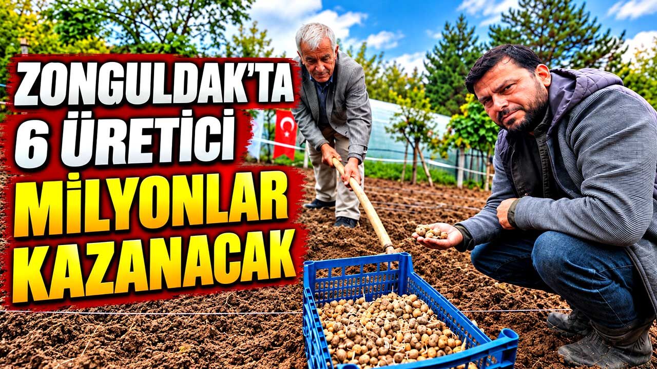 Zonguldak’ta 6 üretici salep yetiştirerek milyonlar kazanacak