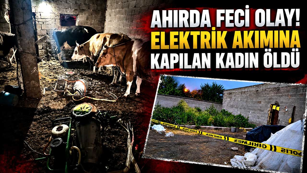 İnek sağarken elektrik akımına kapılan kadın hayatını kaybetti