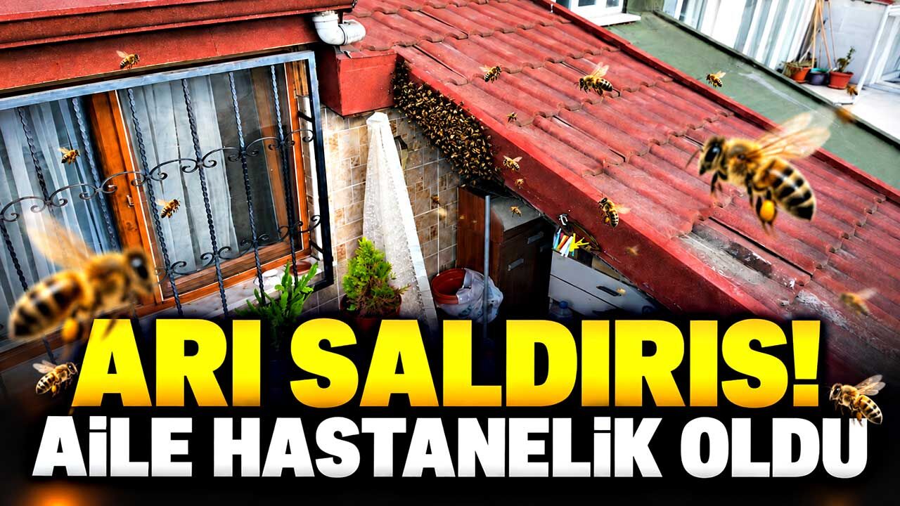 Çatıya yuva yapan arılar aileyi hastanelik etti